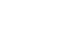 American fluent School